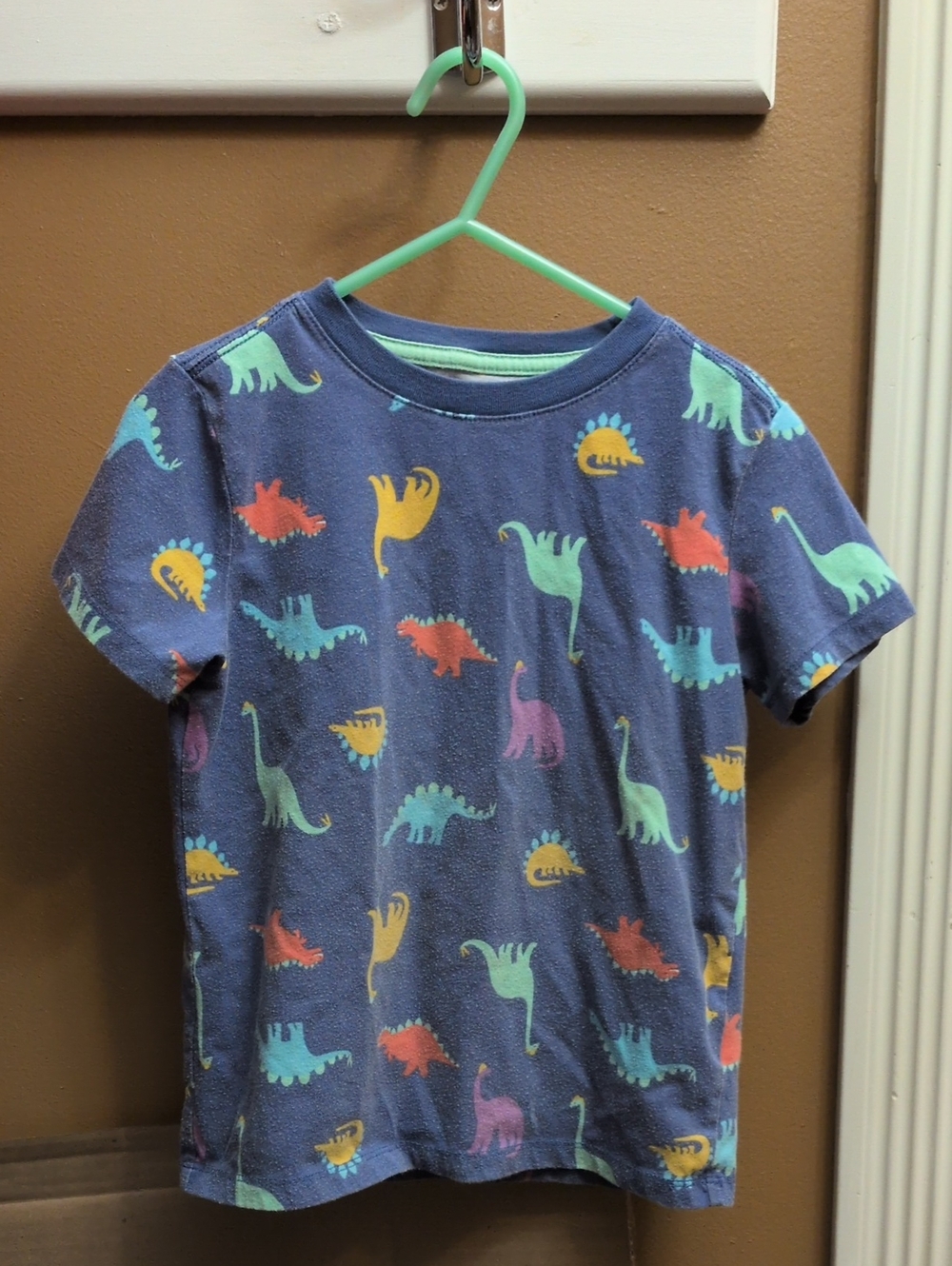Cat & Jack dinosaur t shirt